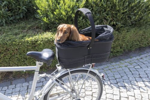 Cykelkorg för hund