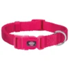 Hundhalsband Fuchsia