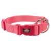Hundhalsband Korall