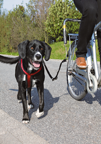 Cykelfäste för Hund