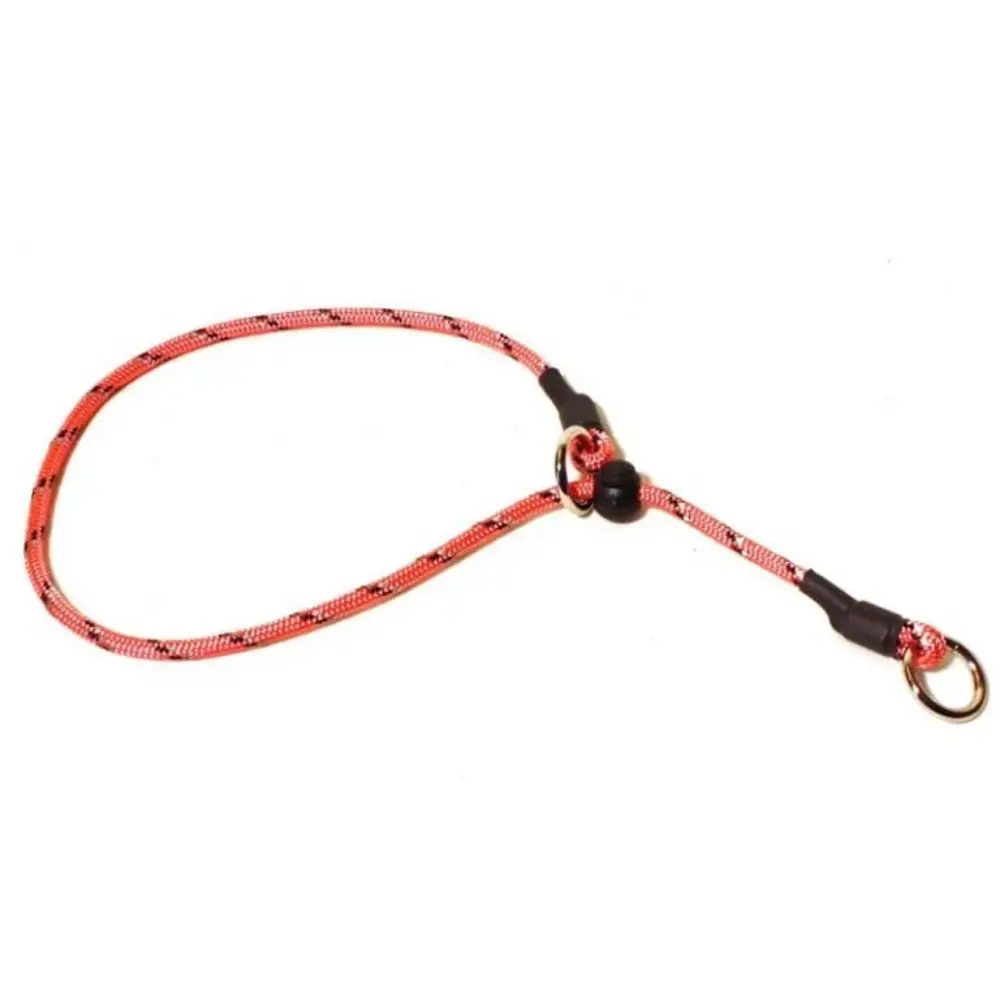 Dressyrstryp med Reflex Rosa