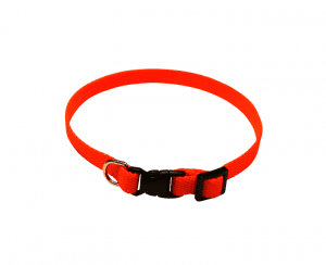 Valphalsband Orange