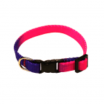Valphalsband Regnbåge | 10mm x 22-34cm
