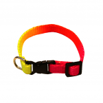 Valphalsband Sol | 10mm x 22-34cm