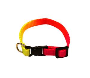 Valphalsband Sol | 10mm x 22-34cm