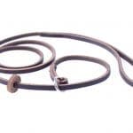 Retrieverkoppel Brunt Läder | Utställningskoppel