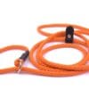 Retrieverkoppel Orange,