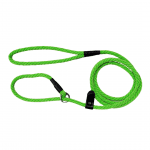Retrieverkoppel Ljusgrön | 10mm x 190cm