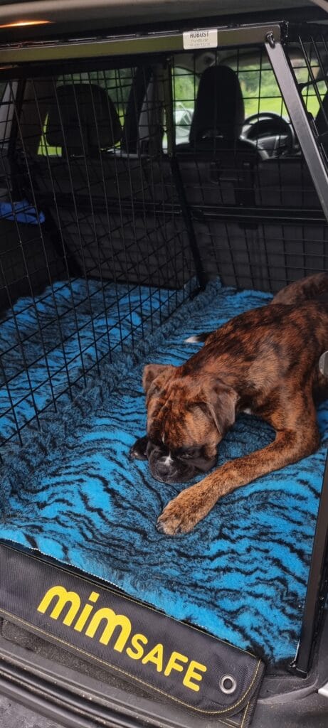 Image #1 from Suzzie