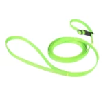 Valpset Ljusgrön – Koppel och Halsband i ett