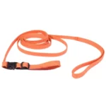 Valpset Orange – Koppel och Halsband i ett