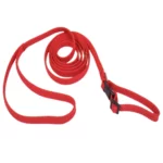 Valpset Röd – Koppel och Halsband i ett