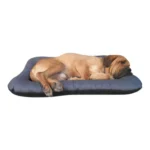 Mörkgrå Vattenavvisande hundbädd