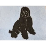 Hundfäll Labradoodle Blå Bakgrund