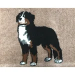 Hundfäll Berner sennenhund | Mink botten