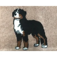 Hundfäll Berner sennenhund