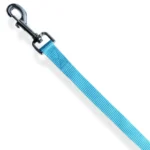 Kort Hundkoppel Ljusblå