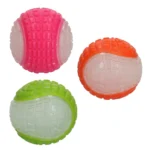 Självlysande Hundboll