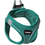 Hundsele Petrol Click & Go