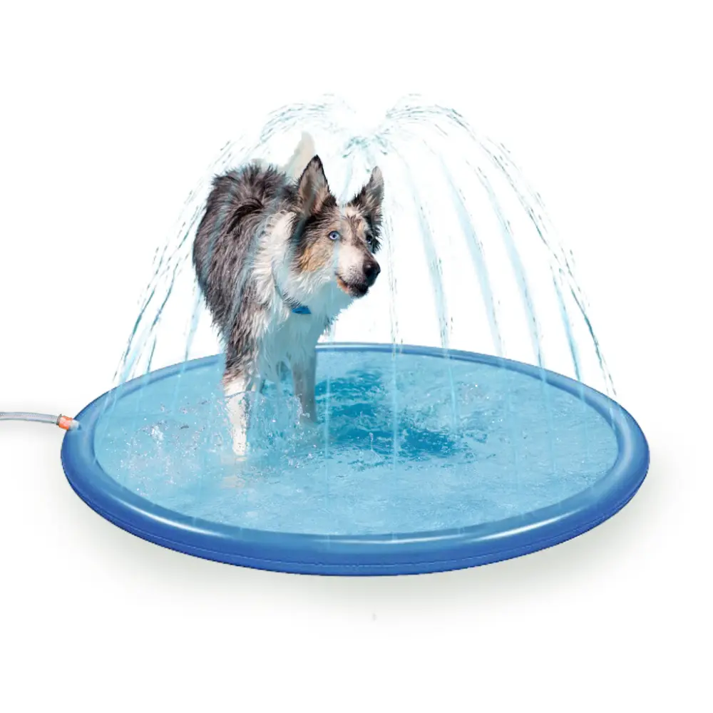 Sprinklermatta till hunden