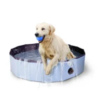 Hundpool, för sommarens alla varma dagar.