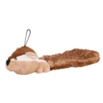 Ekorre med stor svans