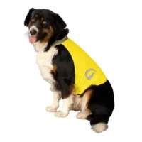 Gul Reflexväst till hunden