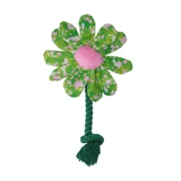 Hundleksak Blomma Summer Shrubs