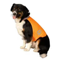 Orange Reflexväst till hunden
