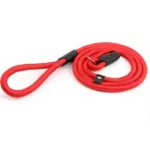 Rött Retrieverkoppel 130cm x 10mm