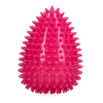 Dog Comets Cosmic Egg Rosa