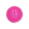 Exoplanet Spiky Ball Rosa