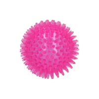 Exoplanet Spiky Ball Rosa