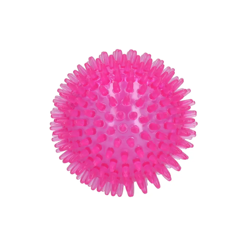 Exoplanet Spiky Ball Rosa